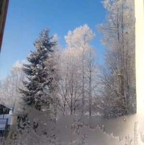 Meet your Posher, Kira